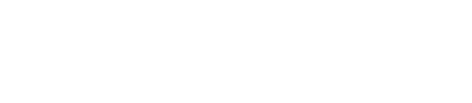 The Race
